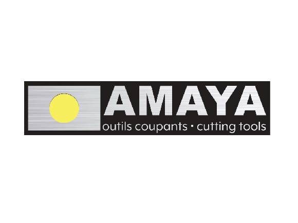Logo de l'entreprise AMAYA